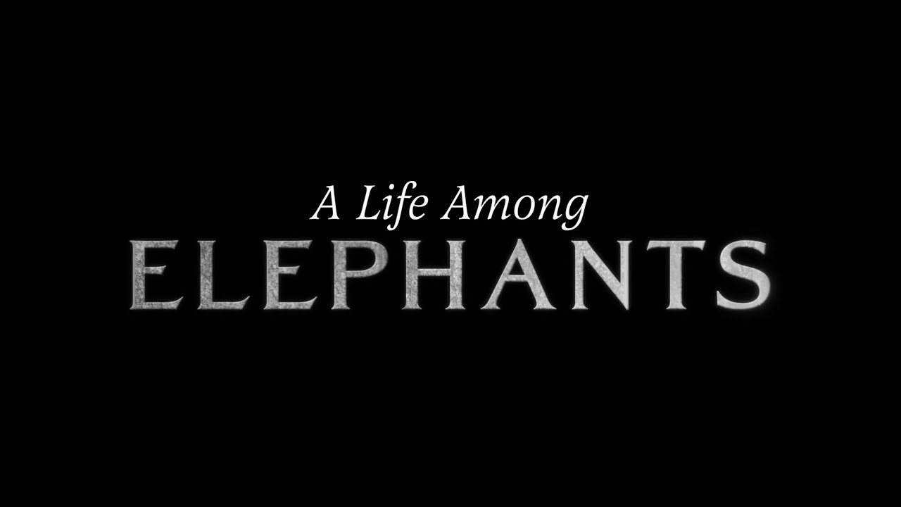 A Life Among Elephants Trailer